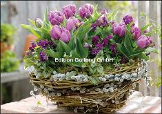 Klappkarte Korb mit Frhlingsblumen